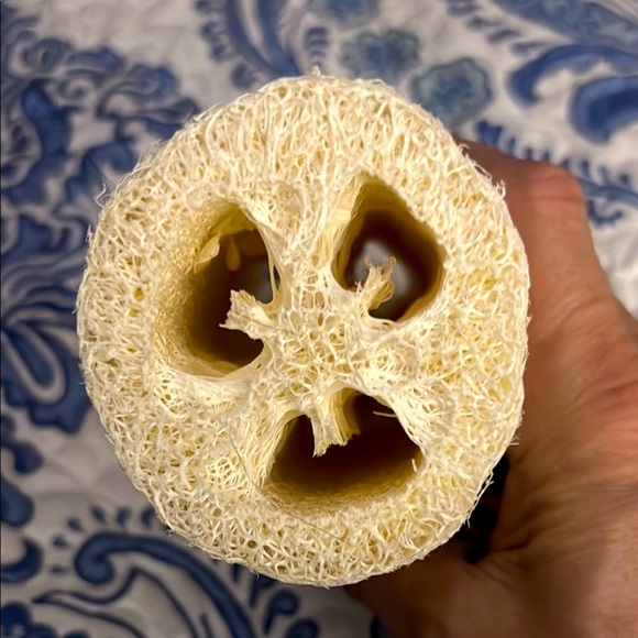 Natural Loofah Sponge From the Gulf of Mexico nwt - Picture 2 of 3